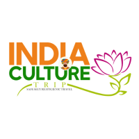 India Culture Trips